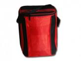 Cooler Bag
